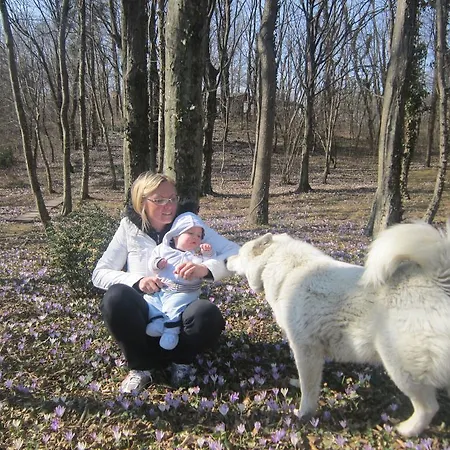 Kwatera prywatna Leban *