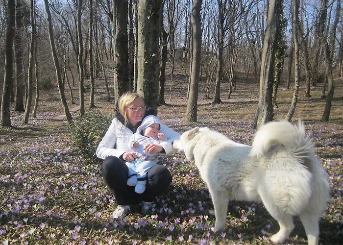 Quarto em Acomodações Particulares Leban *